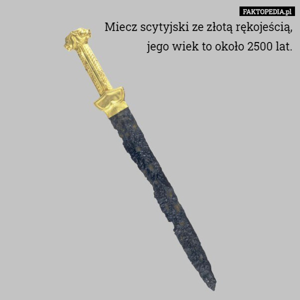 Miecz scytyjski ze złotą rękojeścią,
 jego wiek to około 2500 lat. 