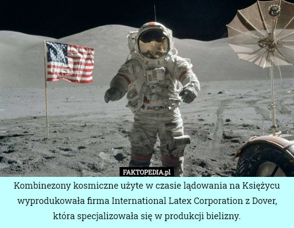 Kombinezony kosmiczne użyte w czasie lądowania na Księżycu wyprodukowała firma International Latex Corporation z Dover, która specjalizowała się w produkcji bielizny. 