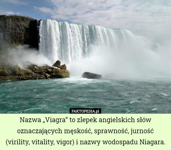 Nazwa „Viagra” to zlepek angielskich słów oznaczających męskość, sprawność, jurność (virility, vitality, vigor) i nazwy wodospadu Niagara. 