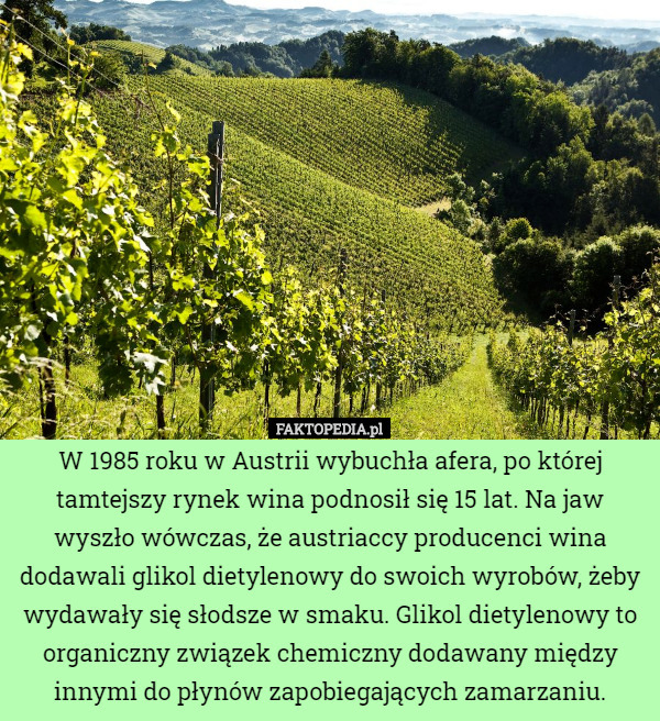W 1985 roku w Austrii wybuchła afera, po której tamtejszy rynek wina podnosił się 15 lat. Na jaw wyszło wówczas, że austriaccy producenci wina dodawali glikol dietylenowy do swoich wyrobów, żeby wydawały się słodsze w smaku. Glikol dietylenowy to organiczny związek chemiczny dodawany między innymi do płynów zapobiegających zamarzaniu. 