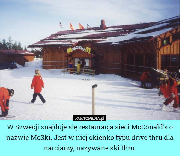 W Szwecji znajduje się restauracja sieci McDonald's o nazwie McSki. Jest w niej okienko typu drive thru dla narciarzy, nazywane ski thru. 