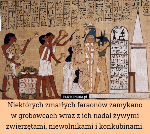Niektórych zmarłych faraonów zamykano
 w grobowcach wraz z ich nadal żywymi zwierzętami, niewolnikami i konkubinami. 