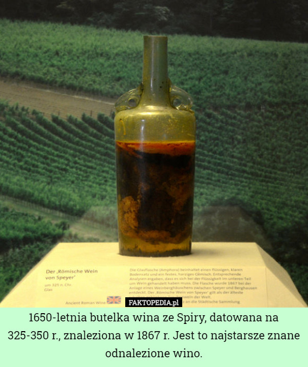 1650-letnia butelka wina ze Spiry, datowana na 325-350 r., znaleziona w 1867 r. Jest to najstarsze znane odnalezione wino. 