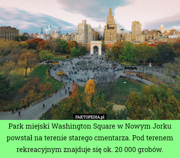 Park miejski Washington Square w Nowym Jorku powstał na terenie starego cmentarza. Pod terenem rekreacyjnym znajduje się ok. 20 000 grobów. 