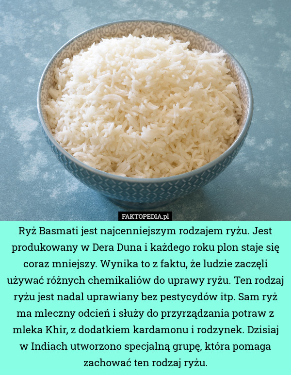 Ryż Basmati jest najcenniejszym rodzajem ryżu. Jest produkowany w Dera Duna i każdego roku plon staje się coraz mniejszy. Wynika to z faktu, że ludzie zaczęli używać różnych chemikaliów do uprawy ryżu. Ten rodzaj ryżu jest nadal uprawiany bez pestycydów itp. Sam ryż ma mleczny odcień i służy do przyrządzania potraw z mleka Khir, z dodatkiem kardamonu i rodzynek. Dzisiaj w Indiach utworzono specjalną grupę, która pomaga zachować ten rodzaj ryżu. 