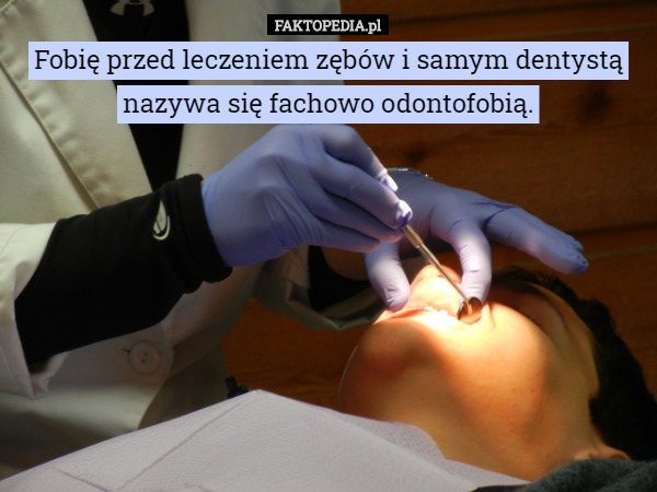 Fobię przed leczeniem zębów i samym dentystą nazywa się fachowo odontofobią. 