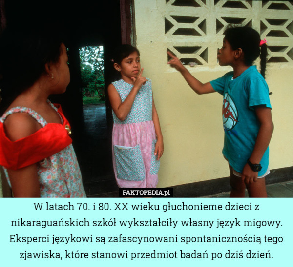 W latach 70. i 80. XX wieku głuchonieme dzieci z nikaraguańskich szkół wykształciły własny język migowy. Eksperci językowi są zafascynowani spontanicznością tego zjawiska, które stanowi przedmiot badań po dziś dzień. 