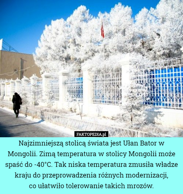 Najzimniejszą stolicą świata jest Ułan Bator w Mongolii. Zimą temperatura w stolicy Mongolii może spaść do -40°C. Tak niska temperatura zmusiła władze kraju do przeprowadzenia różnych modernizacji,
 co ułatwiło tolerowanie takich mrozów. 