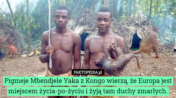 Pigmeje Mbendjele Yaka z Kongo wierzą, że Europa jest miejscem życia-po-życiu i żyją tam duchy zmarłych. 