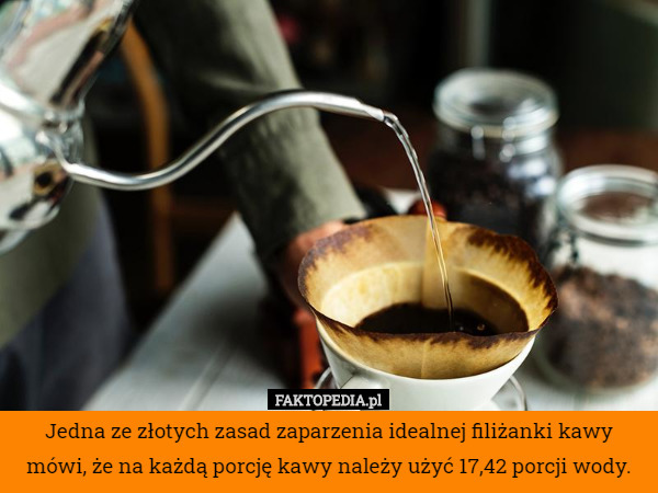 Jedna ze złotych zasad zaparzenia idealnej filiżanki kawy mówi, że na każdą porcję kawy należy użyć 17,42 porcji wody. 