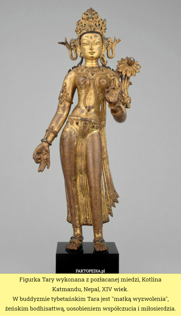 Figurka Tary wykonana z pozłacanej miedzi, Kotlina Katmandu, Nepal, XIV wiek.
 W buddyzmie tybetańskim Tara jest "matką wyzwolenia", żeńskim bodhisattwą, uosobieniem współczucia i miłosierdzia. 