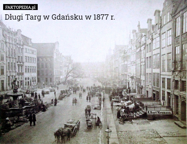 Długi Targ w Gdańsku w 1877 r. 