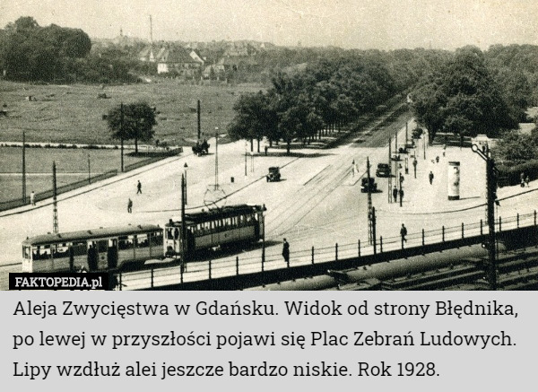 Aleja Zwycięstwa w Gdańsku. Widok od strony Błędnika, po lewej w przyszłości pojawi się Plac Zebrań Ludowych. Lipy wzdłuż alei jeszcze bardzo niskie. Rok 1928. 