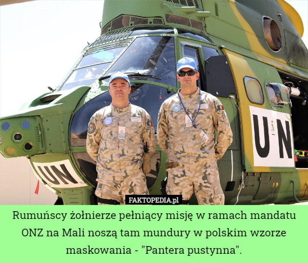 Rumuńscy żołnierze pełniący misję w ramach mandatu ONZ na Mali noszą tam mundury w polskim wzorze maskowania - "Pantera pustynna". 
