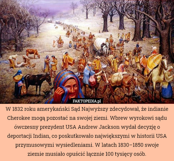 W 1832 roku amerykański Sąd Najwyższy zdecydował, że indianie Cherokee mogą pozostać na swojej ziemi. Wbrew wyrokowi sądu ówczesny prezydent USA Andrew Jackson wydał decyzję o deportacji Indian, co poskutkowało największymi w historii USA przymusowymi wysiedleniami. W latach 1830–1850 swoje
 ziemie musiało opuścić łącznie 100 tysięcy osób. 