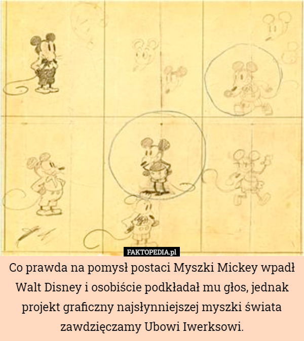 Co prawda na pomysł postaci Myszki Mickey wpadł Walt Disney i osobiście podkładał mu głos, jednak projekt graficzny najsłynniejszej myszki świata zawdzięczamy Ubowi Iwerksowi. 