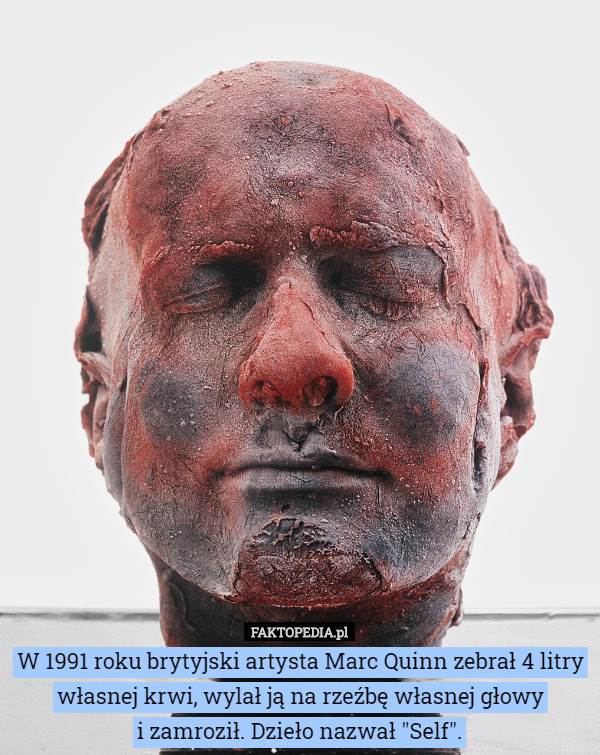 W 1991 roku brytyjski artysta Marc Quinn zebrał 4 litry własnej krwi, wylał ją na rzeźbę własnej głowy
 i zamroził. Dzieło nazwał "Self". 