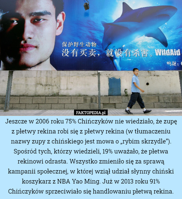 Jeszcze w 2006 roku 75% Chińczyków nie wiedziało, że zupę z płetwy rekina robi się z płetwy rekina (w tłumaczeniu nazwy zupy z chińskiego jest mowa o „rybim skrzydle”). Spośród tych, którzy wiedzieli, 19% uważało, że płetwa rekinowi odrasta. Wszystko zmieniło się za sprawą kampanii społecznej, w której wziął udział słynny chiński koszykarz z NBA Yao Ming. Już w 2013 roku 91% Chińczyków sprzeciwiało się handlowaniu płetwą rekina. 