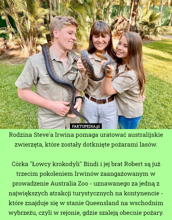 Rodzina Steve'a Irwina pomaga uratować australijskie zwierzęta, które zostały dotknięte pożarami lasów.

Córka "Łowcy krokodyli" Bindi i jej brat Robert są już trzecim pokoleniem Irwinów zaangażowanym w prowadzenie Australia Zoo - uznawanego za jedną z największych atrakcji turystycznych na kontynencie - które znajduje się w stanie Queensland na wschodnim wybrzeżu, czyli w rejonie, gdzie szaleją obecnie pożary. 