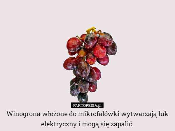Winogrona włożone do mikrofalówki wytwarzają łuk elektryczny i mogą się zapalić. 