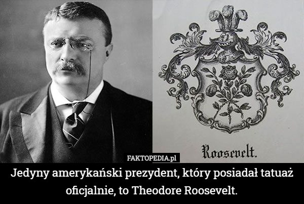 Jedyny amerykański prezydent, który posiadał tatuaż oficjalnie, to Theodore Roosevelt. 