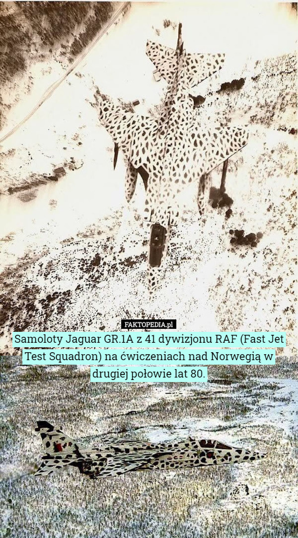 Samoloty Jaguar GR.1A z 41 dywizjonu RAF (Fast Jet Test Squadron) na ćwiczeniach nad Norwegią w drugiej połowie lat 80. 