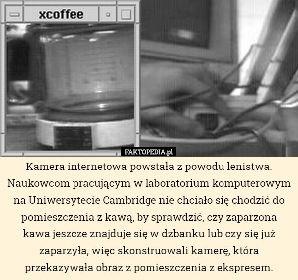 Kamera internetowa powstała z powodu lenistwa. Naukowcom pracującym w laboratorium komputerowym na Uniwersytecie Cambridge nie chciało się chodzić do pomieszczenia z kawą, by sprawdzić, czy zaparzona kawa jeszcze znajduje się w dzbanku lub czy się już zaparzyła, więc skonstruowali kamerę, która przekazywała obraz z pomieszczenia z ekspresem. 