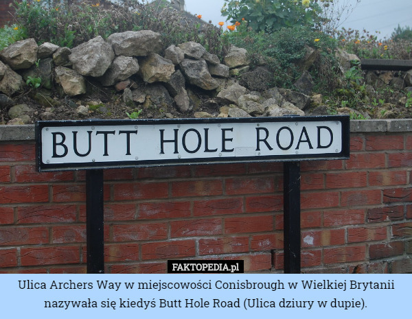 Ulica Archers Way w miejscowości Conisbrough w Wielkiej Brytanii nazywała się kiedyś Butt Hole Road (Ulica dziury w dupie). 