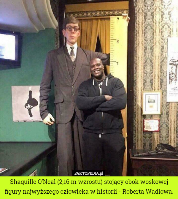 Shaquille O’Neal (2,16 m wzrostu) stojący obok woskowej figury najwyższego człowieka w historii - Roberta Wadlowa. 