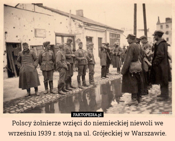 Polscy żołnierze wzięci do niemieckiej niewoli we wrześniu 1939 r. stoją na ul. Grójeckiej w Warszawie. 