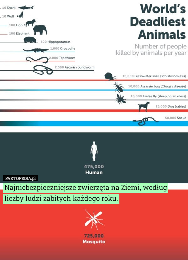 Najniebezpieczniejsze zwierzęta na Ziemi, według liczby ludzi zabitych każdego roku. 