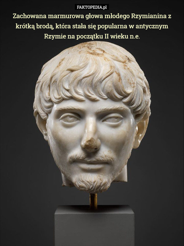 Zachowana marmurowa głowa młodego Rzymianina z krótką brodą, która stała się popularna w antycznym Rzymie na początku II wieku n.e. 