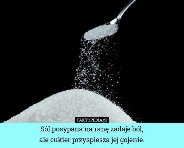 Sól posypana na ranę zadaje ból,
ale cukier przyspiesza jej gojenie. 