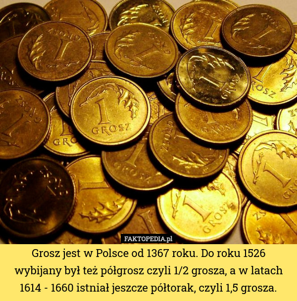 Grosz jest w Polsce od 1367 roku. Do roku 1526 wybijany był też półgrosz czyli 1/2 grosza, a w latach 1614 - 1660 istniał jeszcze półtorak, czyli 1,5 grosza. 