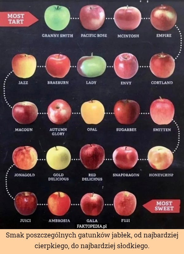 Smak poszczególnych gatunków jabłek, od najbardziej cierpkiego, do najbardziej słodkiego. 