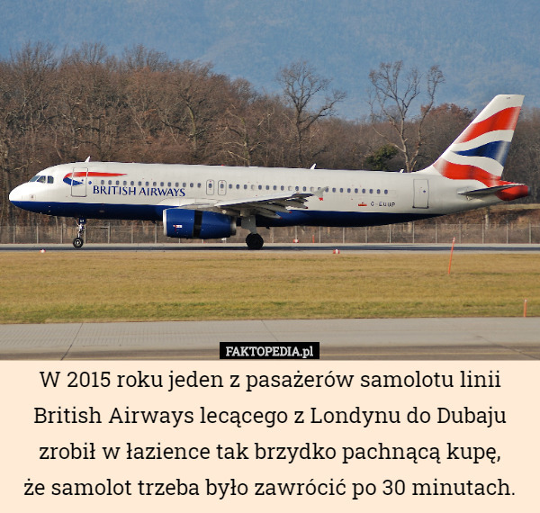 W 2015 roku jeden z pasażerów samolotu linii British Airways lecącego z Londynu do Dubaju zrobił w łazience tak brzydko pachnącą kupę,
 że samolot trzeba było zawrócić po 30 minutach. 