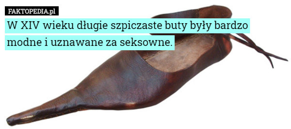 W XIV wieku długie szpiczaste buty były bardzo modne i uznawane za seksowne. 