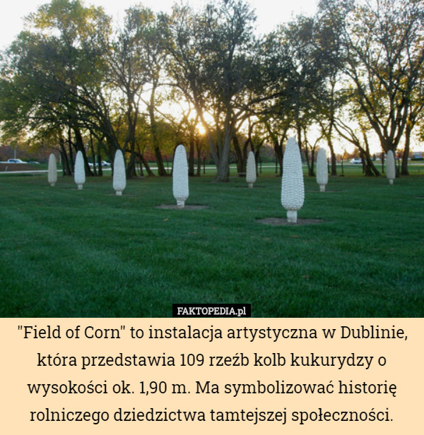 "Field of Corn" to instalacja artystyczna w Dublinie, która przedstawia 109 rzeźb kolb kukurydzy o wysokości ok. 1,90 m. Ma symbolizować historię rolniczego dziedzictwa tamtejszej społeczności. 