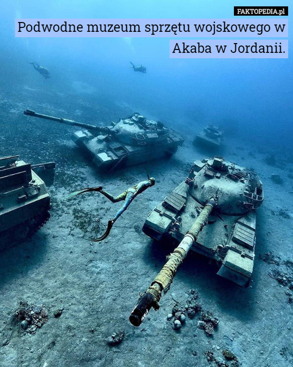 Podwodne muzeum sprzętu wojskowego w Akaba w Jordanii. 