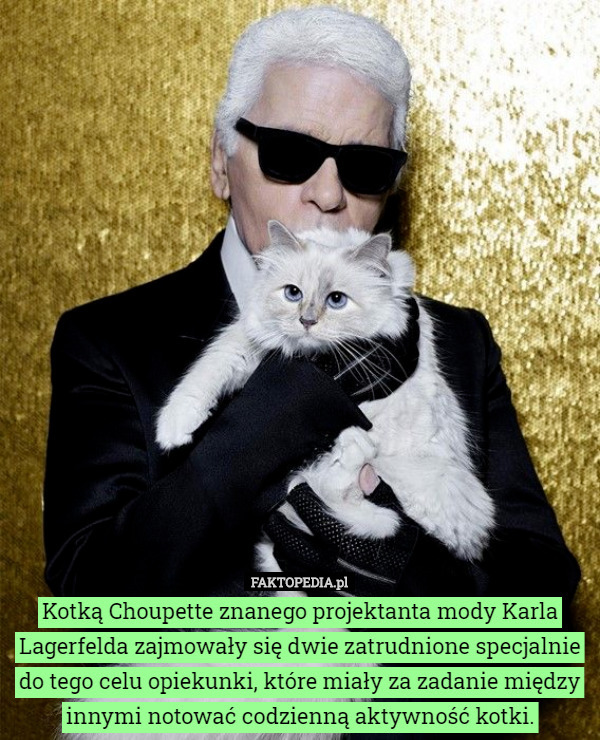 Kotką Choupette znanego projektanta mody Karla Lagerfelda zajmowały się dwie zatrudnione specjalnie do tego celu opiekunki, które miały za zadanie między innymi notować codzienną aktywność kotki. 