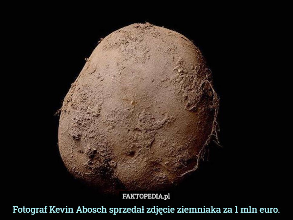 Fotograf Kevin Abosch sprzedał zdjęcie ziemniaka za 1 mln euro. 