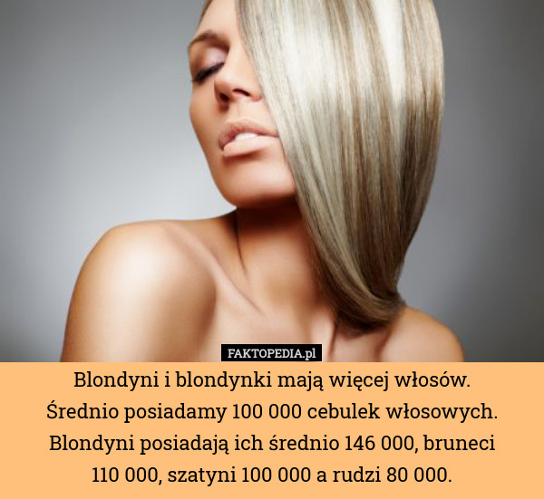 Blondyni i blondynki mają więcej włosów.
Średnio posiadamy 100 000 cebulek włosowych. Blondyni posiadają ich średnio 146 000, bruneci
110 000, szatyni 100 000 a rudzi 80 000. 