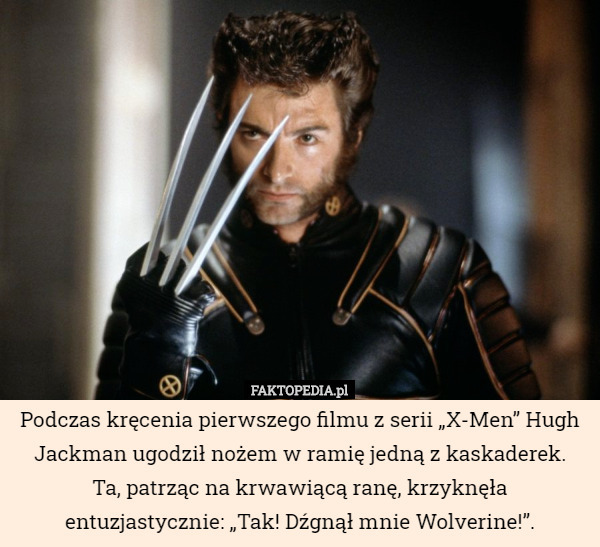 Podczas kręcenia pierwszego filmu z serii „X-Men” Hugh Jackman ugodził nożem w ramię jedną z kaskaderek.
 Ta, patrząc na krwawiącą ranę, krzyknęła entuzjastycznie: „Tak! Dźgnął mnie Wolverine!”. 