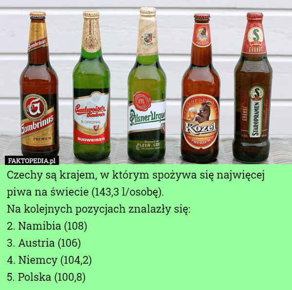 Czechy są krajem, w którym spożywa się najwięcej piwa na świecie (143,3 l/osobę).
Na kolejnych pozycjach znalazły się:
2. Namibia (108)
3. Austria (106)
4. Niemcy (104,2)
5. Polska (100,8) 