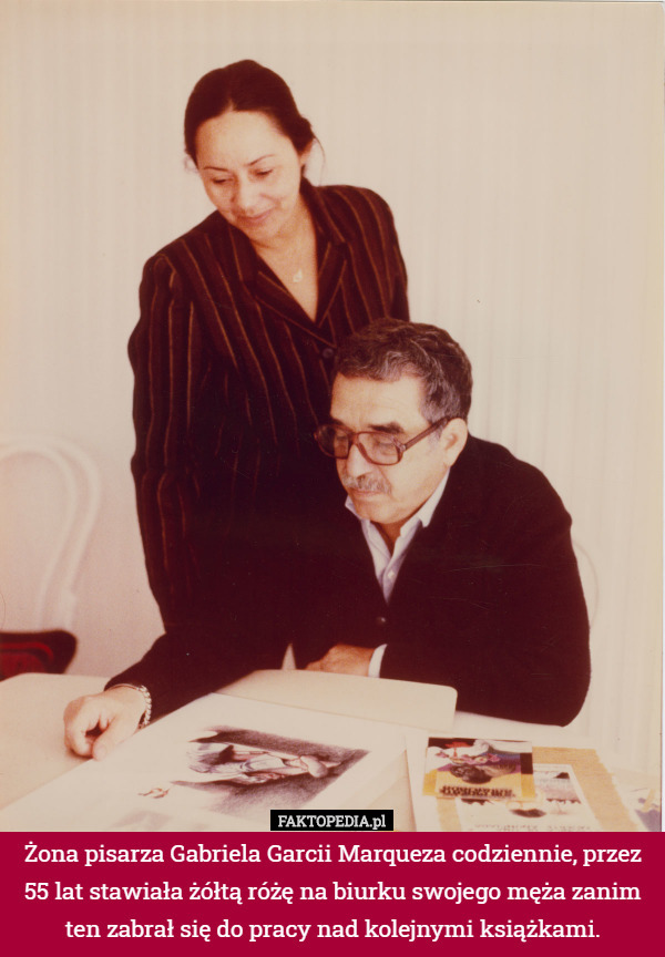 Żona pisarza Gabriela Garcii Marqueza codziennie, przez 55 lat stawiała żółtą różę na biurku swojego męża zanim ten zabrał się do pracy nad kolejnymi książkami. 