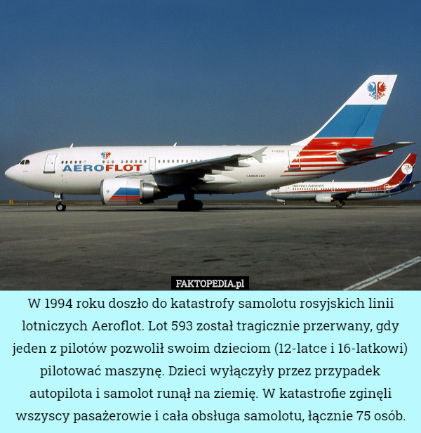 W 1994 roku doszło do katastrofy samolotu rosyjskich linii lotniczych Aeroflot. Lot 593 został tragicznie przerwany, gdy jeden z pilotów pozwolił swoim dzieciom (12-latce i 16-latkowi) pilotować maszynę. Dzieci wyłączyły przez przypadek autopilota i samolot runął na ziemię. W katastrofie zginęli wszyscy pasażerowie i cała obsługa samolotu, łącznie 75 osób. 
