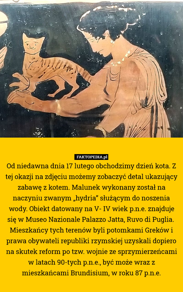 Od niedawna dnia 17 lutego obchodzimy dzień kota. Z tej okazji na zdjęciu możemy zobaczyć detal ukazujący zabawę z kotem. Malunek wykonany został na naczyniu zwanym „hydria” służącym do noszenia wody. Obiekt datowany na V- IV wiek p.n.e. znajduje się w Museo Nazionale Palazzo Jatta, Ruvo di Puglia. 
Mieszkańcy tych terenów byli potomkami Greków i prawa obywateli republiki rzymskiej uzyskali dopiero na skutek reform po tzw. wojnie ze sprzymierzeńcami w latach 90-tych p.n.e., być może wraz z mieszkańcami Brundisium, w roku 87 p.n.e. 
