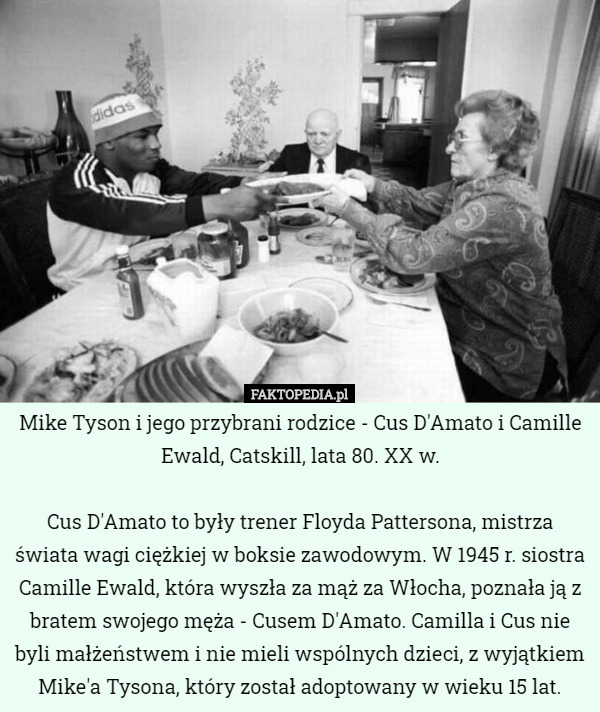 Mike Tyson i jego przybrani rodzice - Cus D'Amato i Camille Ewald, Catskill, lata 80. XX w.

Cus D'Amato to były trener Floyda Pattersona, mistrza świata wagi ciężkiej w boksie zawodowym. W 1945 r. siostra Camille Ewald, która wyszła za mąż za Włocha, poznała ją z bratem swojego męża - Cusem D'Amato. Camilla i Cus nie byli małżeństwem i nie mieli wspólnych dzieci, z wyjątkiem Mike'a Tysona, który został adoptowany w wieku 15 lat. 