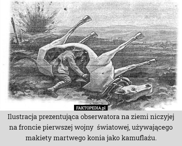 Ilustracja prezentująca obserwatora na ziemi niczyjej na froncie pierwszej wojny  światowej, używającego makiety martwego konia jako kamuflażu. 