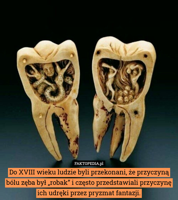 Do XVIII wieku ludzie byli przekonani, że przyczyną bólu zęba był „robak” i często przedstawiali przyczynę ich udręki przez pryzmat fantazji. 